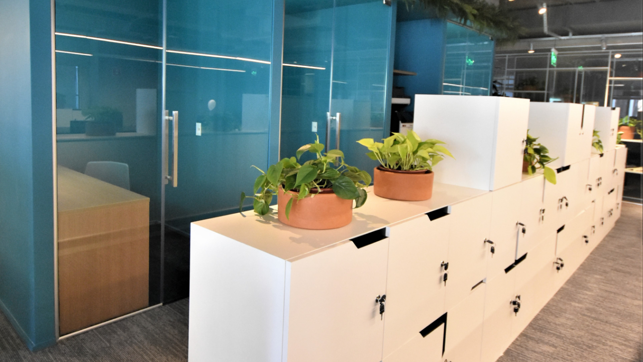 Design regenerativo: escritórios que devolvem mais do que consomem